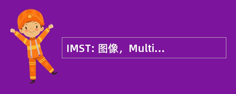 IMST: 图像，Multimédia et 科学也