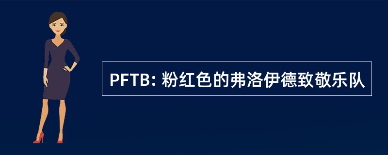 PFTB: 粉红色的弗洛伊德致敬乐队