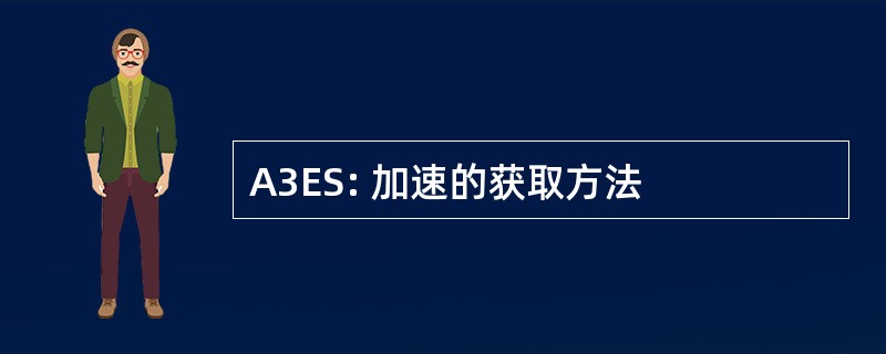 A3ES: 加速的获取方法