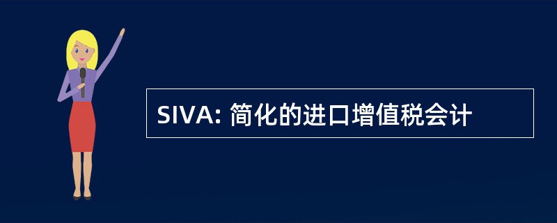 SIVA: 简化的进口增值税会计