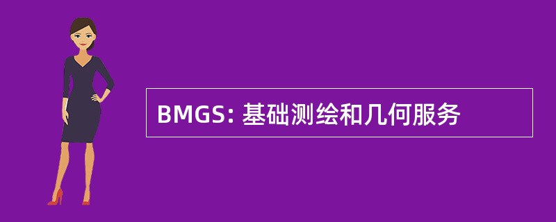 BMGS: 基础测绘和几何服务