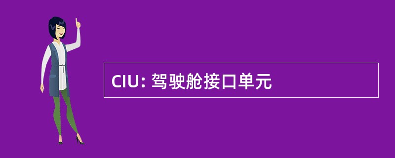 CIU: 驾驶舱接口单元