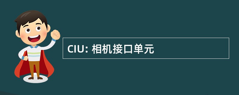 CIU: 相机接口单元