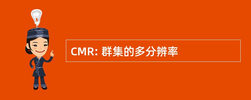 CMR: 群集的多分辨率