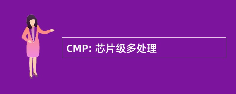 CMP: 芯片级多处理