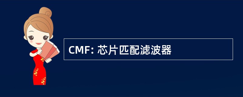 CMF: 芯片匹配滤波器