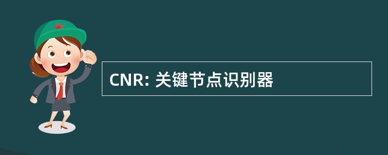 CNR: 关键节点识别器