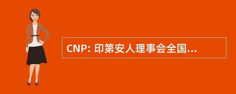 CNP: 印第安人理事会全国 de Produccion