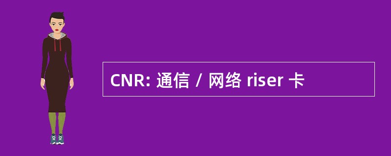 CNR: 通信 / 网络 riser 卡