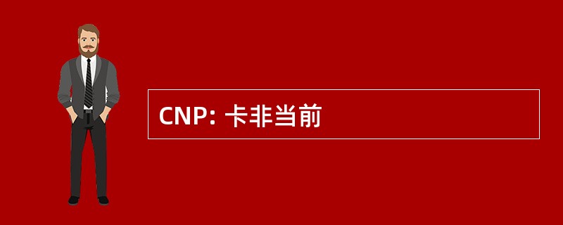 CNP: 卡非当前