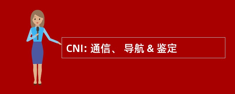 CNI: 通信、 导航 & 鉴定