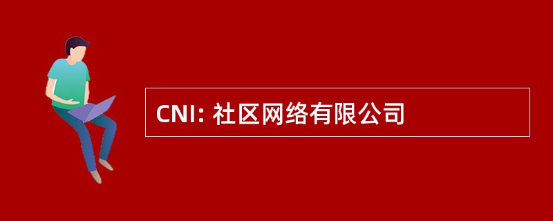 CNI: 社区网络有限公司