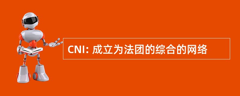 CNI: 成立为法团的综合的网络