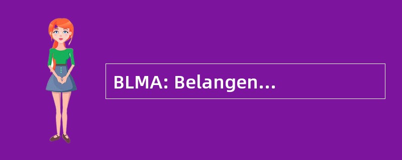 BLMA: Belangenvereniging Leraren 武术