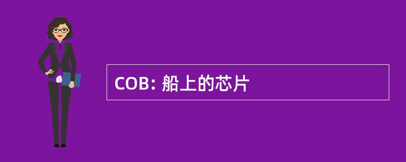 COB: 船上的芯片