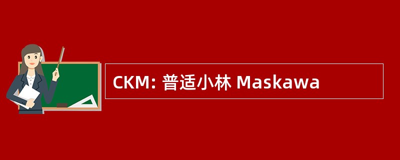 CKM: 普适小林 Maskawa