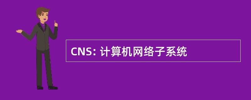 CNS: 计算机网络子系统