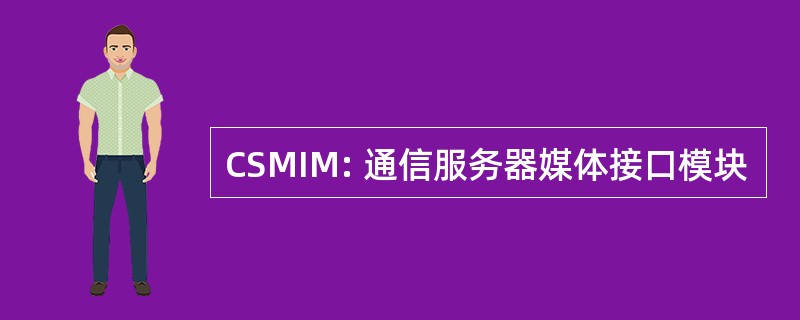 CSMIM: 通信服务器媒体接口模块