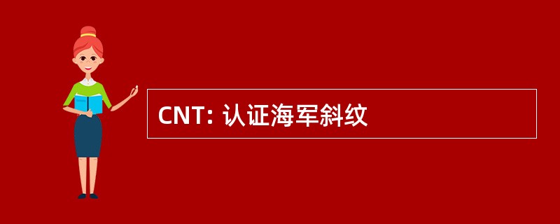 CNT: 认证海军斜纹