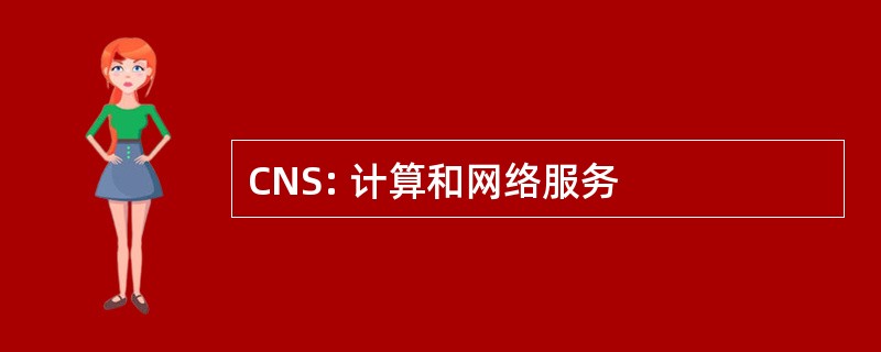 CNS: 计算和网络服务