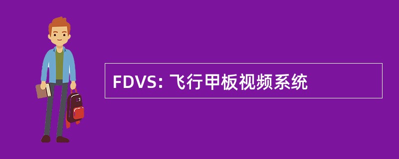 FDVS: 飞行甲板视频系统