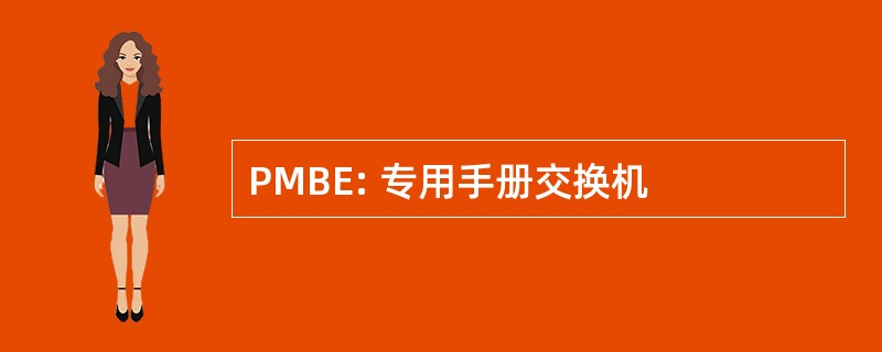 PMBE: 专用手册交换机