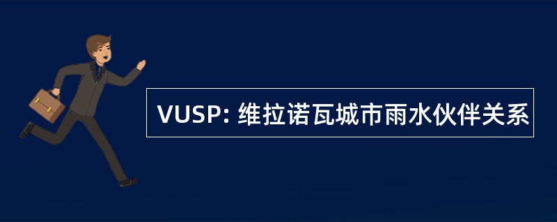 VUSP: 维拉诺瓦城市雨水伙伴关系