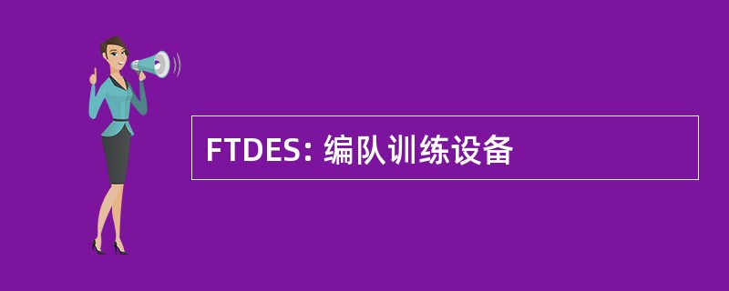 FTDES: 编队训练设备