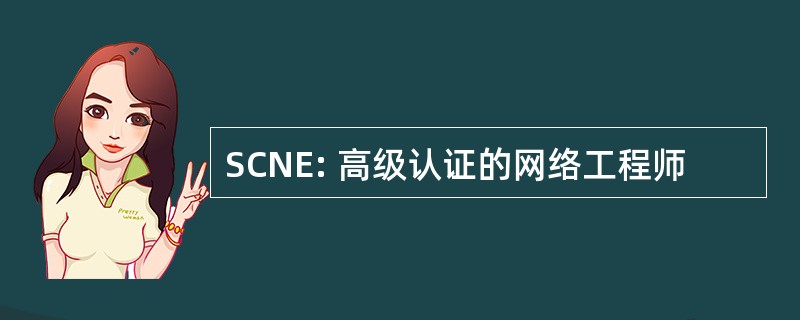 SCNE: 高级认证的网络工程师