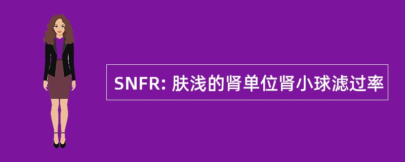 SNFR: 肤浅的肾单位肾小球滤过率