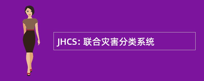 JHCS: 联合灾害分类系统