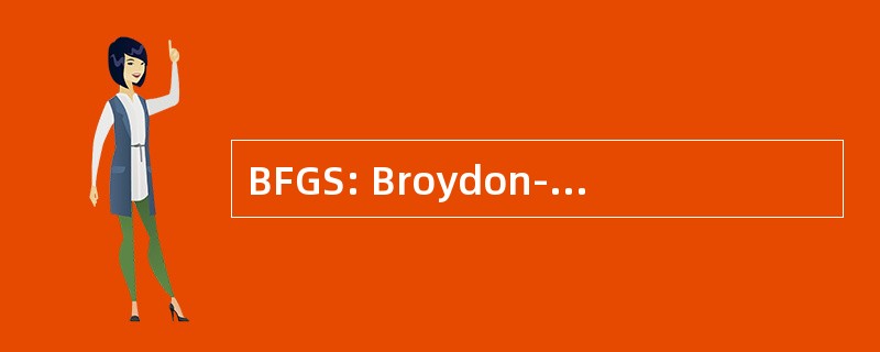 BFGS: Broydon-弗莱彻-戈德法布-打斗