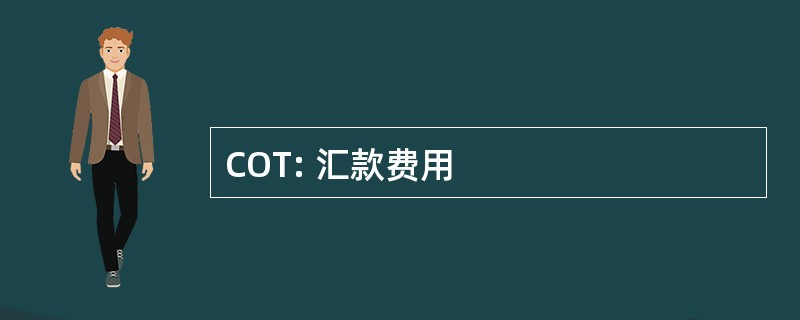 COT: 汇款费用