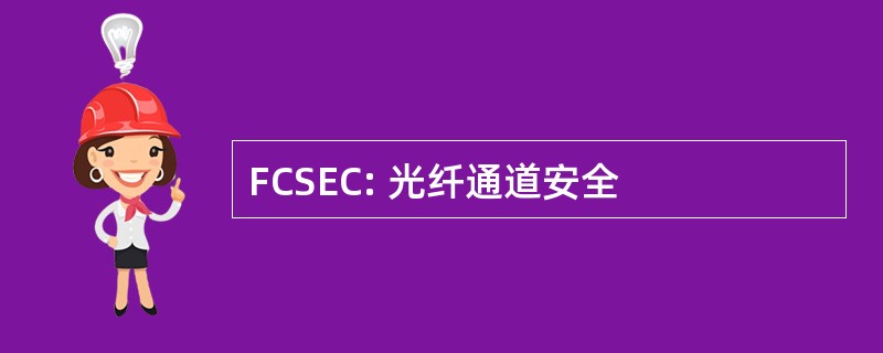 FCSEC: 光纤通道安全