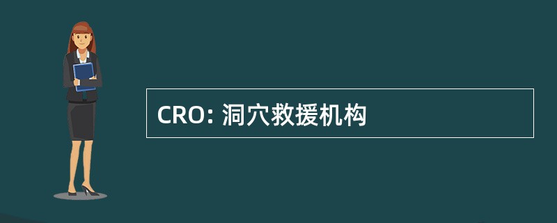 CRO: 洞穴救援机构