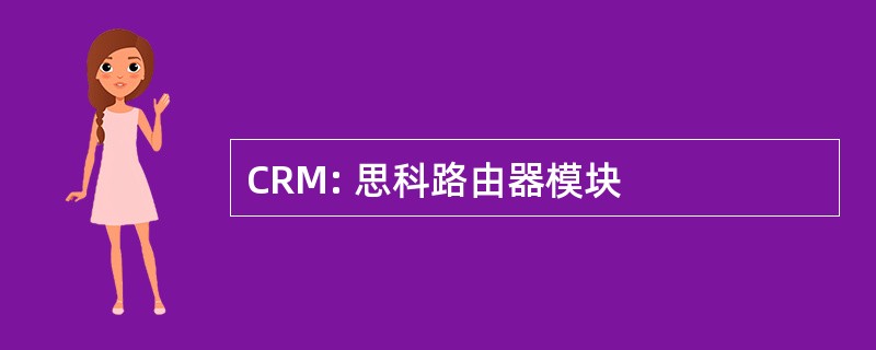 CRM: 思科路由器模块