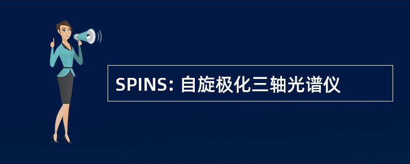 SPINS: 自旋极化三轴光谱仪