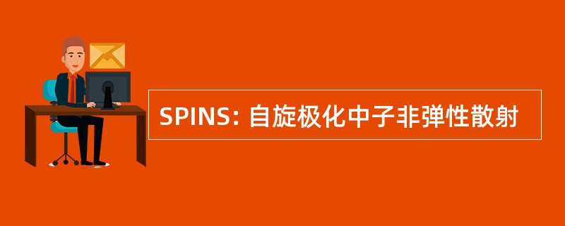 SPINS: 自旋极化中子非弹性散射