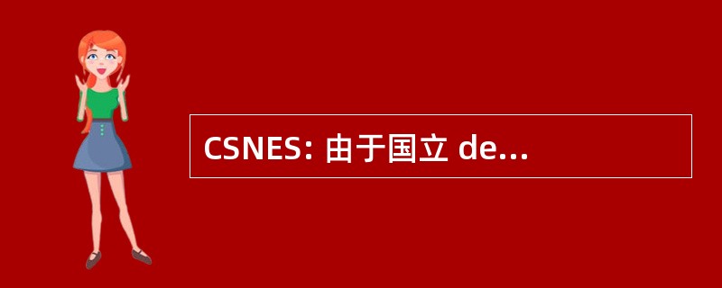 CSNES: 由于国立 des 商会企业国家安全局