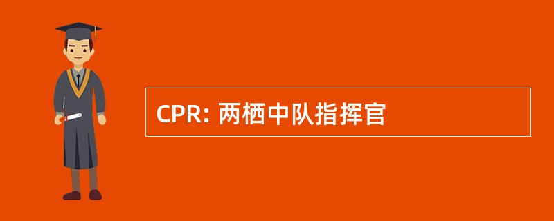 CPR: 两栖中队指挥官