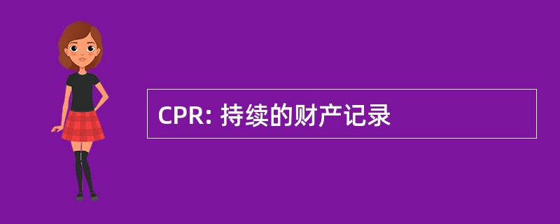 CPR: 持续的财产记录