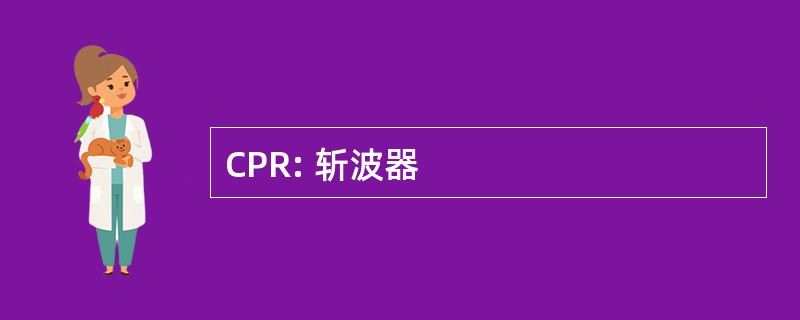 CPR: 斩波器