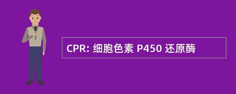 CPR: 细胞色素 P450 还原酶