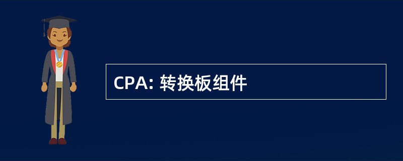 CPA: 转换板组件