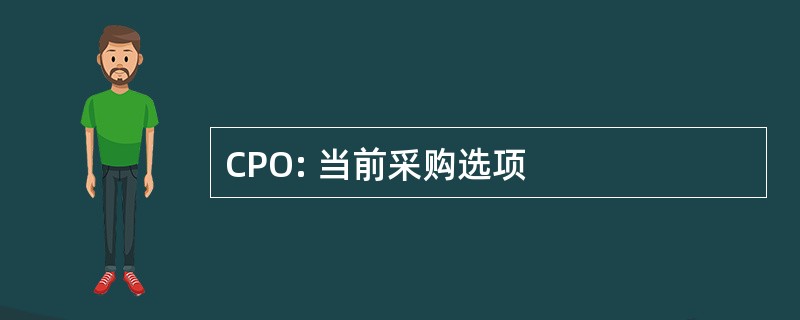 CPO: 当前采购选项