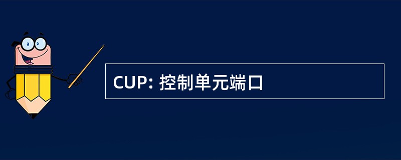 CUP: 控制单元端口