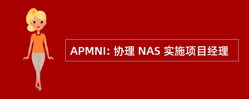 APMNI: 协理 NAS 实施项目经理