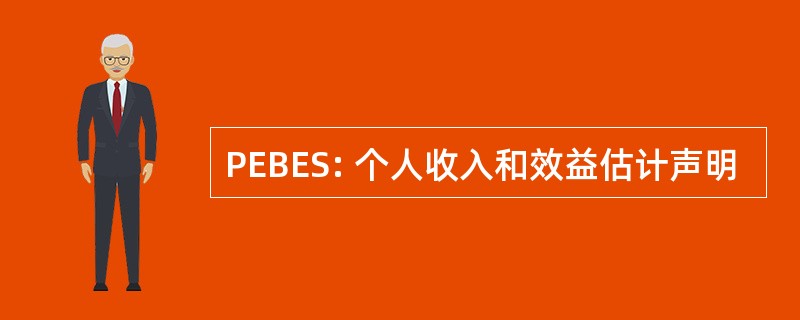 PEBES: 个人收入和效益估计声明