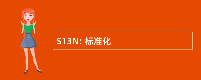 S13N: 标准化