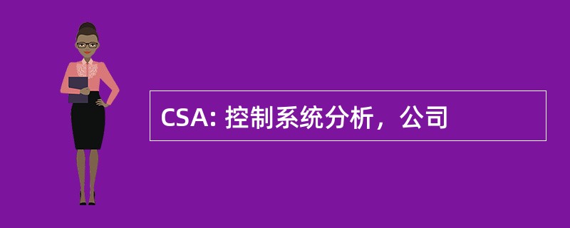 CSA: 控制系统分析，公司